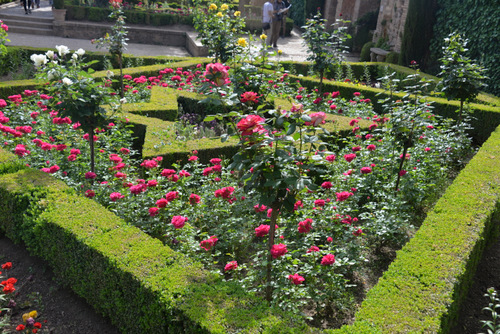 Gardens and Grounds of the Alhambra.